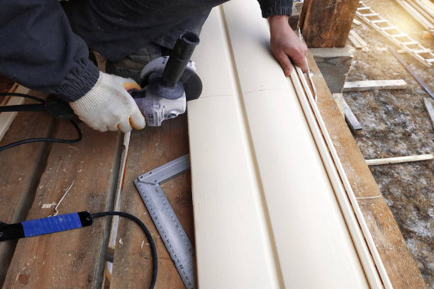 Best Siding Painting and Refinishing  in Urbandale, IA